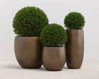 Aster Planter - Tall - view 7