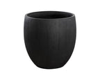 Coleus Planter - Large