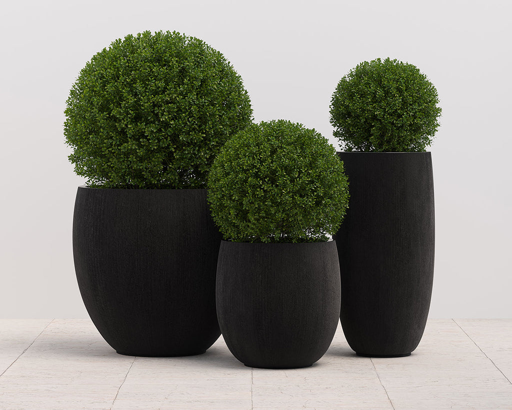 Coleus Planter - Large - view 10