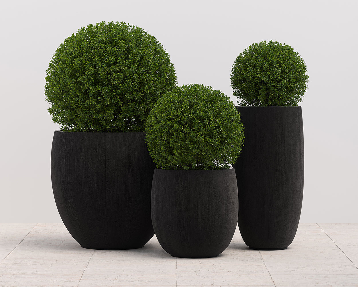 Coleus Planter - Large - view 10