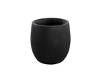 Coleus Planter - Small