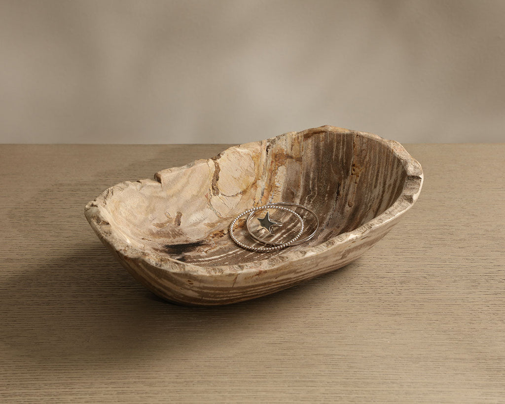 Grounding Petrified Wood Bowl — detail surface