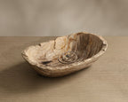 Grounding Petrified Wood Bowl — detail surface