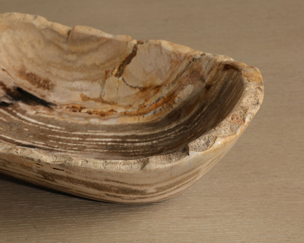 Grounding Petrified Wood Bowl — styled view