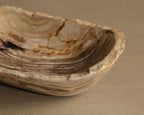 Grounding Petrified Wood Bowl — styled view
