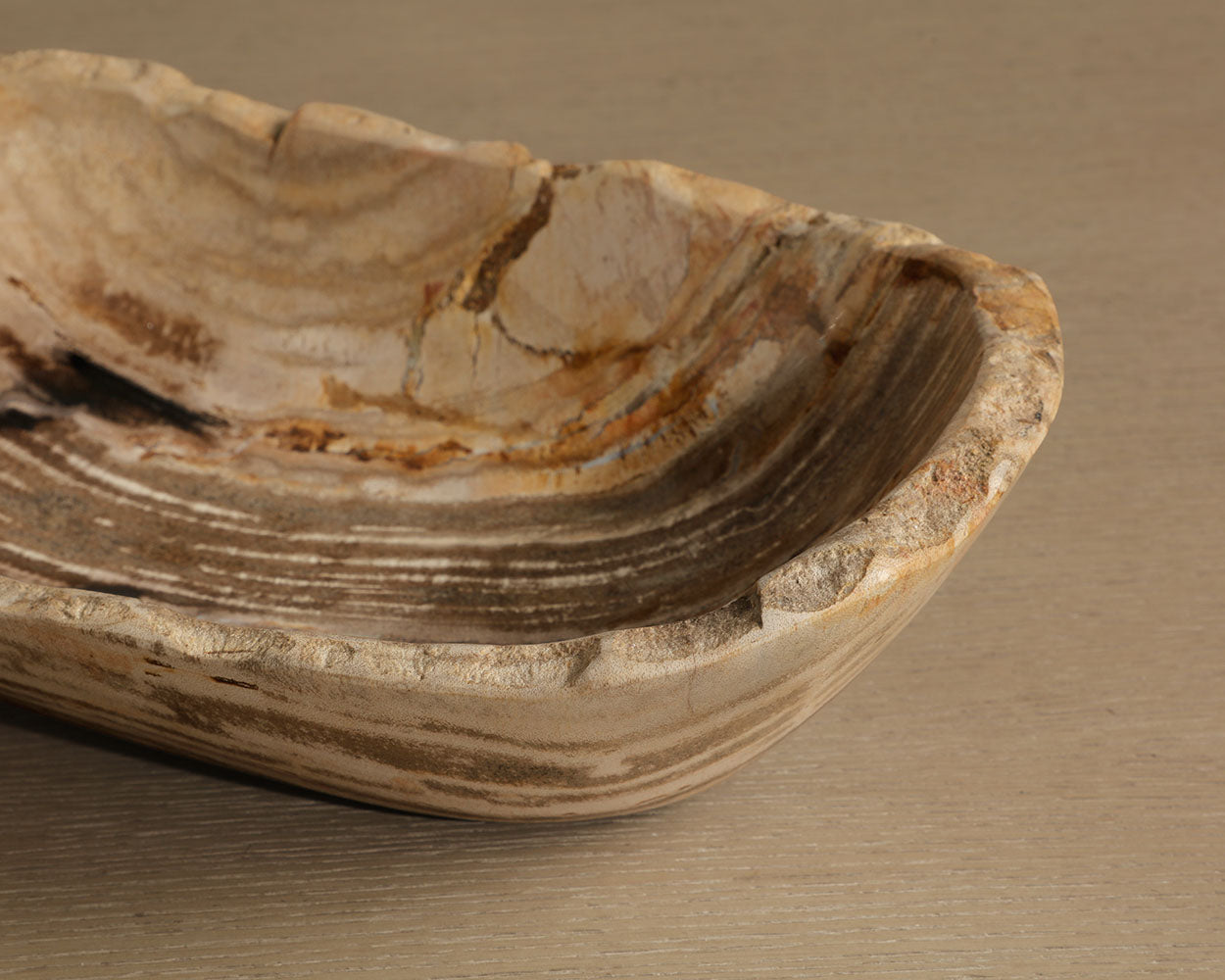 Grounding Petrified Wood Bowl — styled view