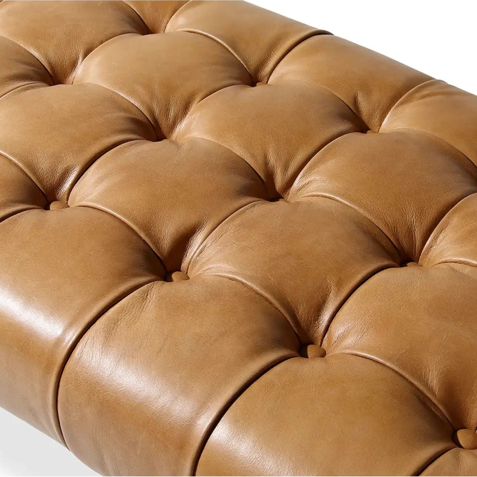Wyatt bench by Moe's Home Collection, full-grain leather, tan